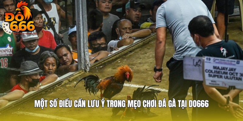 Bật mí một số lưu ý bạn cần phải nắm rõ