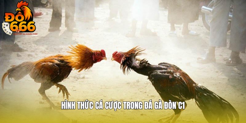 Các hình thức đặt cược trong đá gà đòn