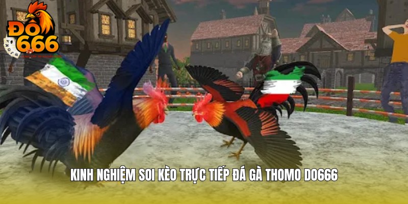 Chia sẻ kinh nghiệm từ dân chuyên