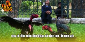 Chia Sẻ Công Thức Tính Chạng Gà Dành Cho Tân Binh Mới