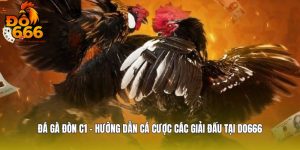 Đá Gà Đòn C1 - Hướng Dẫn Cá Cược Các Giải Đấu Tại DO666