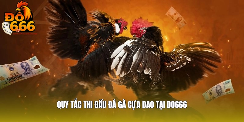 Luật thi đấu của hình thức cựa dao