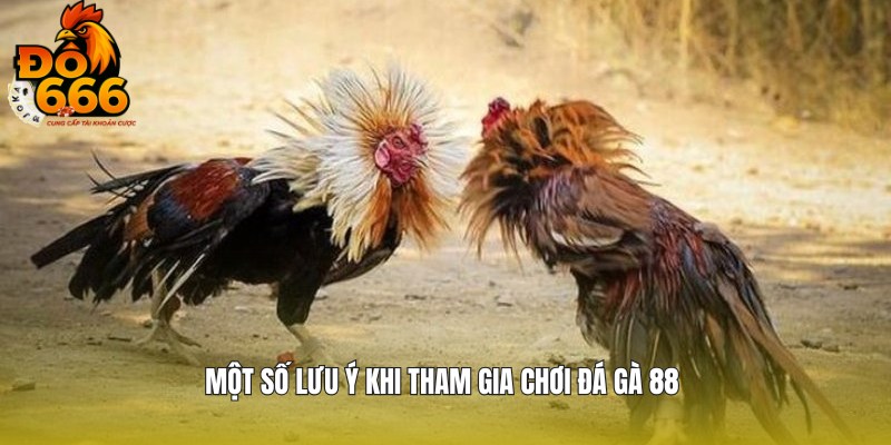 Lưu ý khi tham gia chơi cho người mới