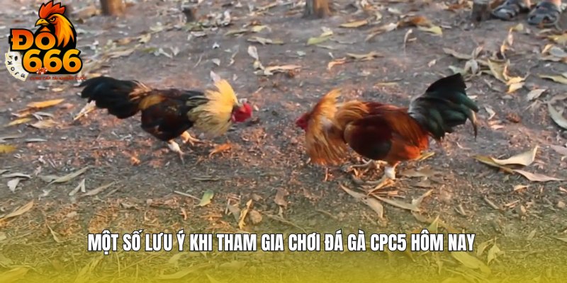 Một số lưu ý hội viên cần phải nắm rõ