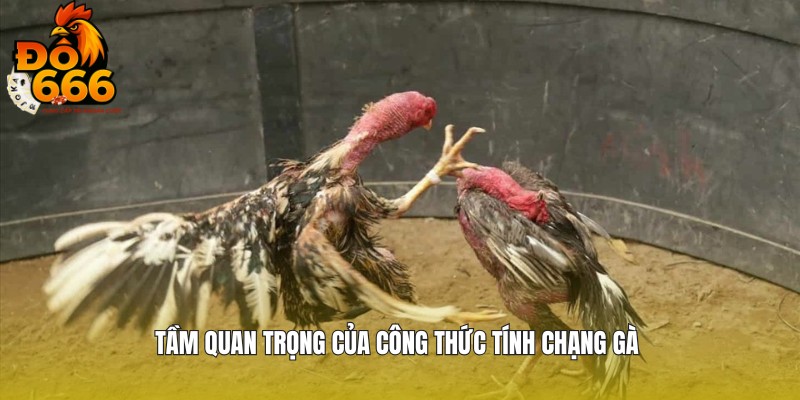 Tầm quan trọng của việc xác định chạng gà chuẩn