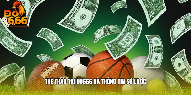 Thể thao tại DO666 và thông tin sơ lược