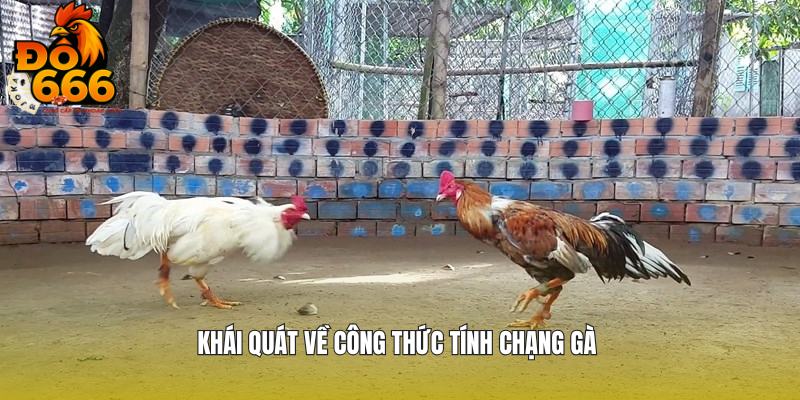 Thông tin chi tiết về công thức tính chạng gà