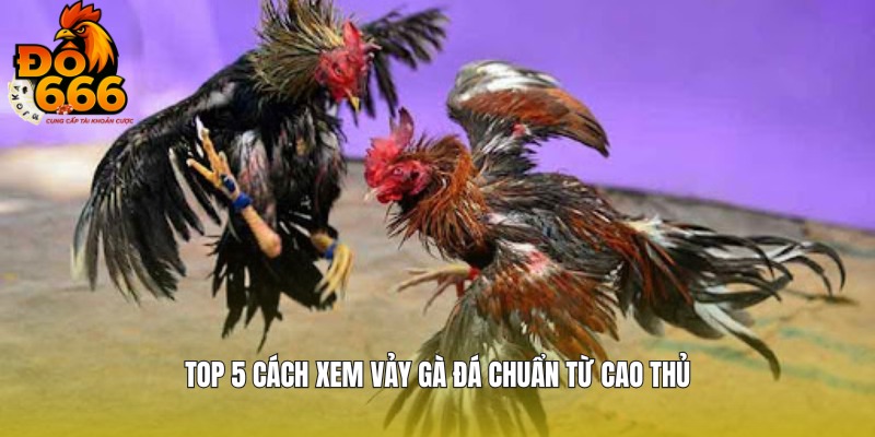 Top các loại hình đẹp mà bạn không nên bỏ qua