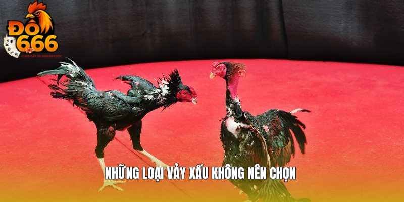 Top những loại hình xấu mà bạn nên bỏ qua