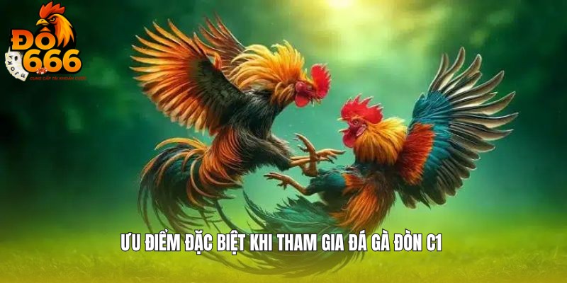 Ưu điểm đặc biệt khi trải nghiệm đá gà đòn